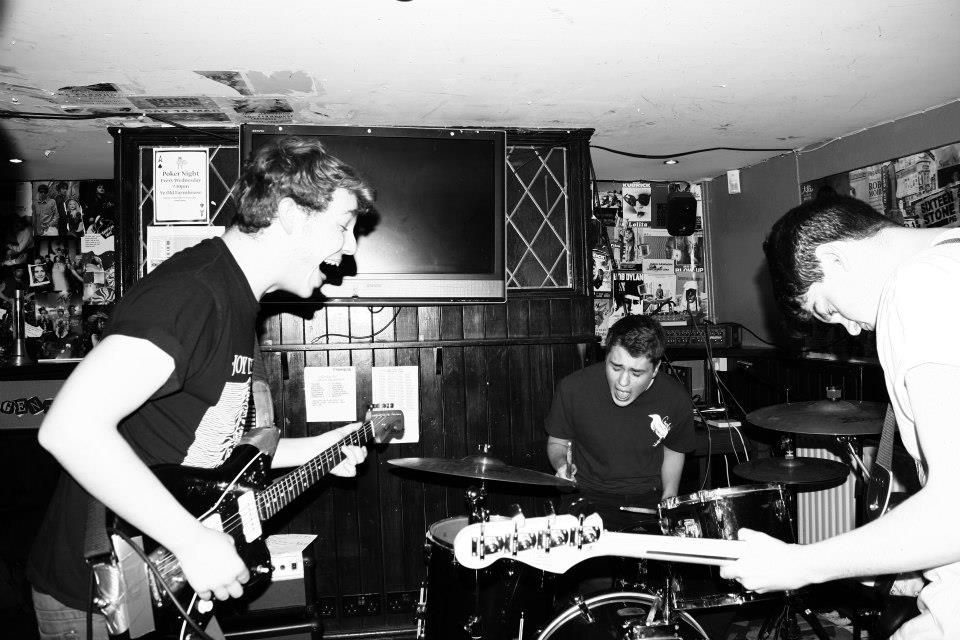 I Don't Want To Know Why The Caged Bird Sings