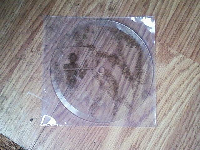 Whenskiesaregray - The Things I Had Once Cherished 5" Lathe Record