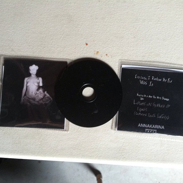 Annakarina - Erasure, I Realized The Fix Was In CDR