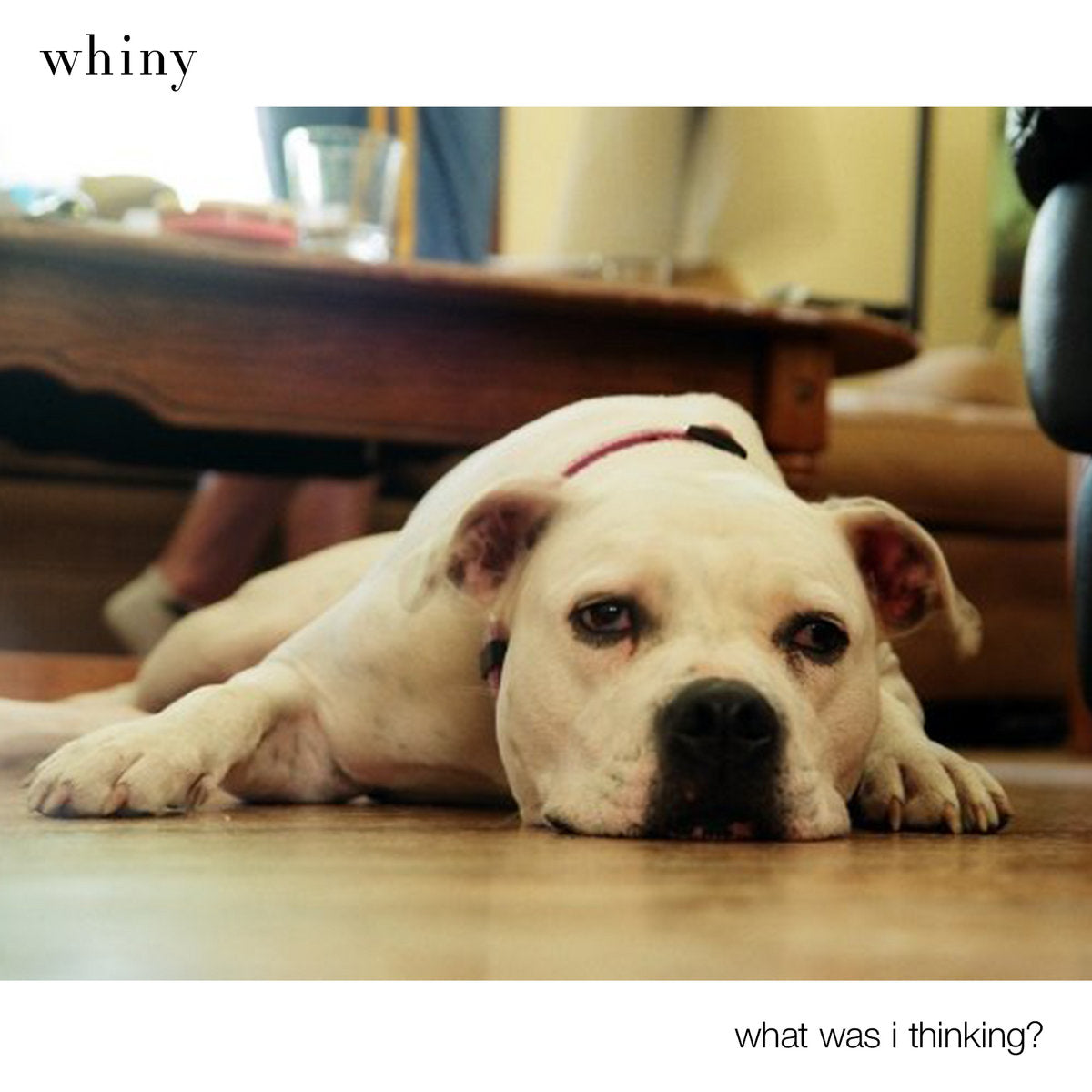 Whiny - What Was I Thinking  CD
